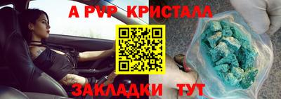 крисы Кунгур