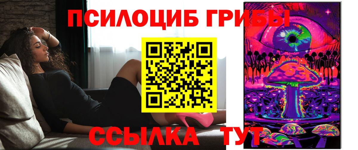 Егорьевск  Галлюциногенные грибы мицелий  Галлюциногенные грибы мицелий  сколько стоит  Вход с VPN 
